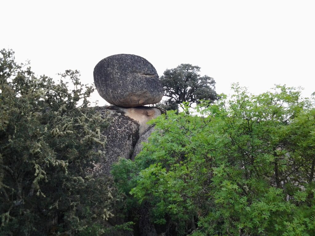 foto termino de bogajo